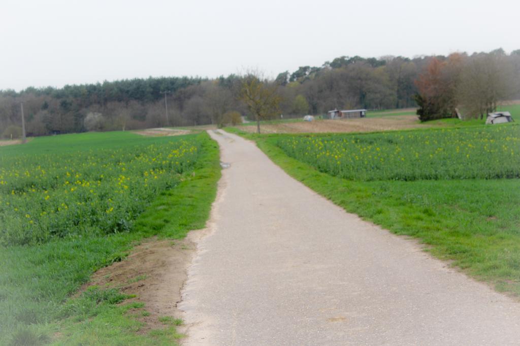 Spatzennest Kronau